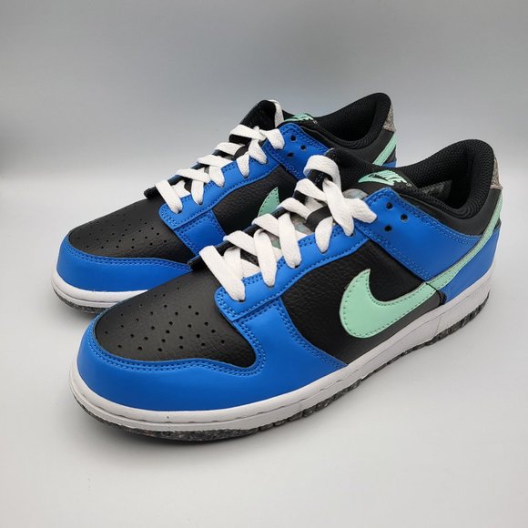 NEW Youth 7 / Women's 8.5 Nike Dunk Low Special Edition - DR0165-001 - Picture 1 of 10